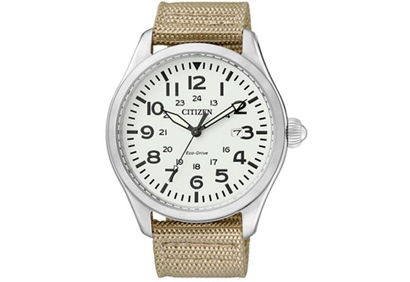 Ersatzband für Citizen Promaster BM6831 - 24B