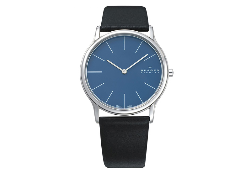 Skagen Uhrenarmband 858XLSLN