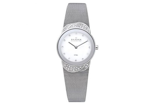 Skagen Uhrenarmband 818SSS