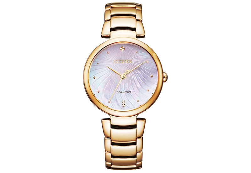 Citizen Uhrenarmband EM0853 - 81Y