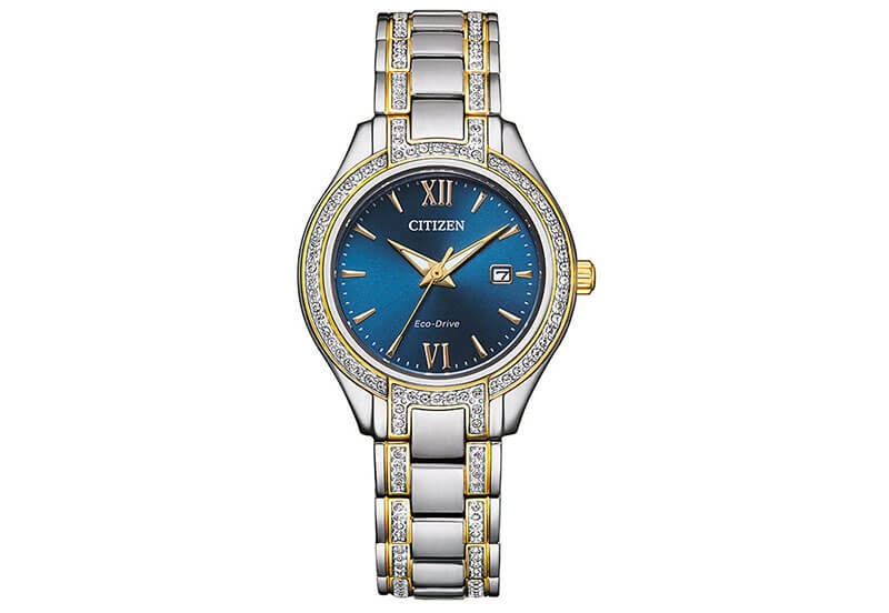 Citizen Uhrenarmband FE1234 - 50L