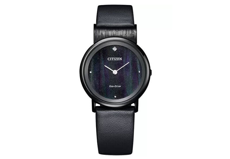 Citizen Uhrenarmband EG7095 - 13E