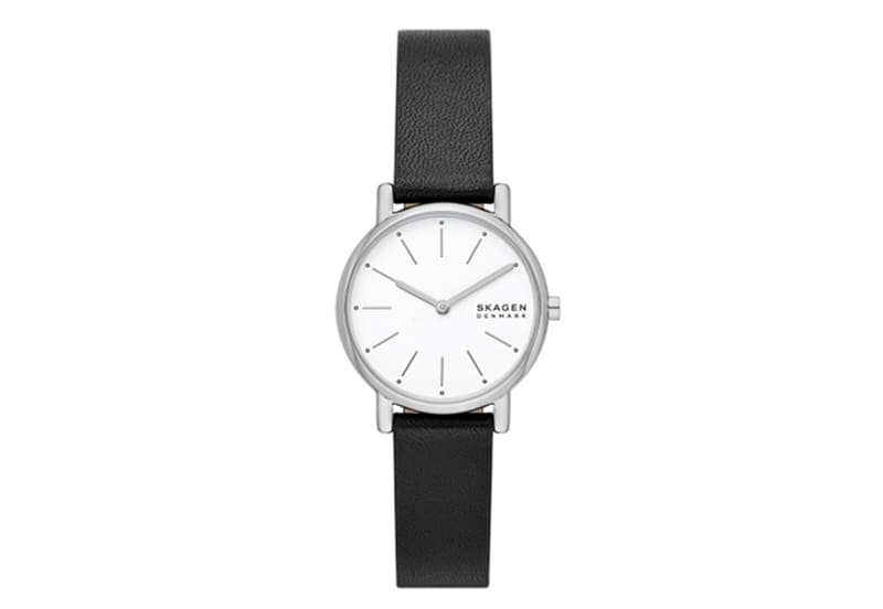Skagen Uhrenarmband SKW3120