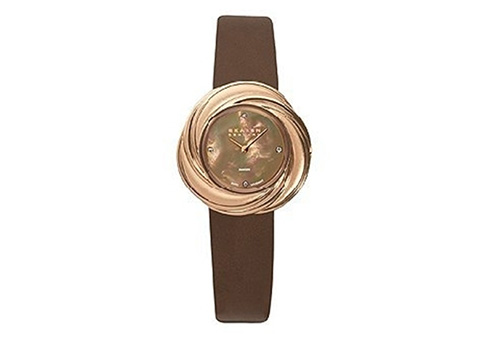 Skagen Uhrenarmband 885SRLD