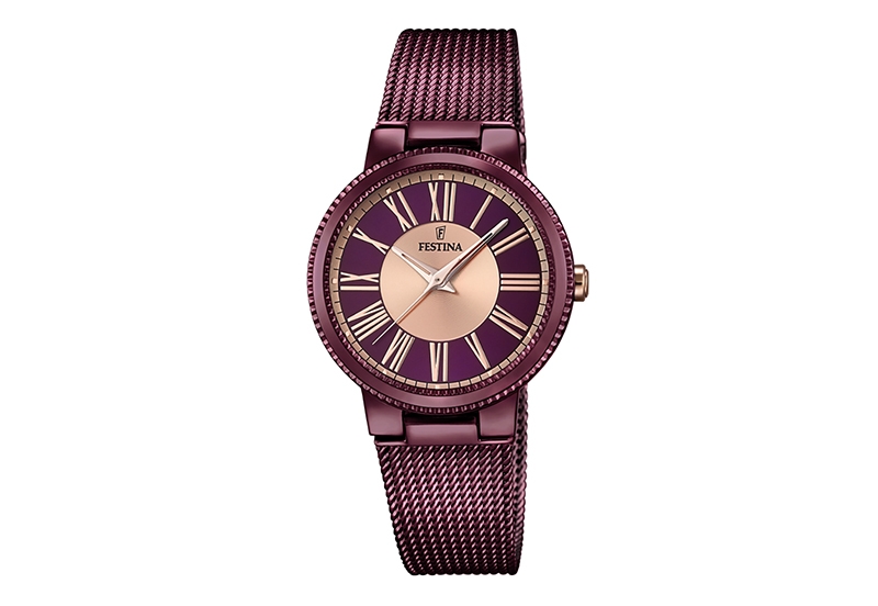 Festina Armband F16966/1